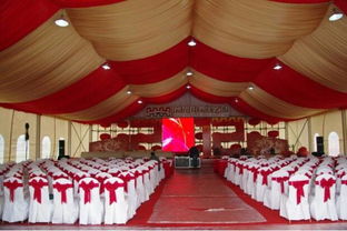 LED租赁的分类及其在婚庆礼炮中的应用